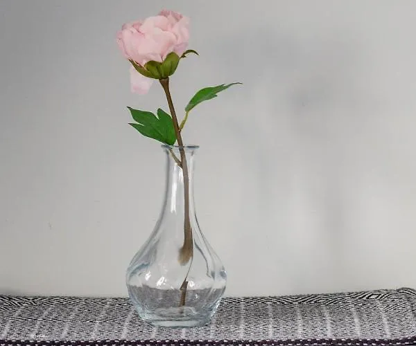 Podczele Seashore & Jacuzzi With Parking By Renters 3*